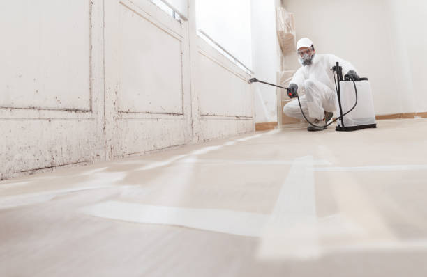 24/7 Emergency Mold Removal experts in Henderson, TX